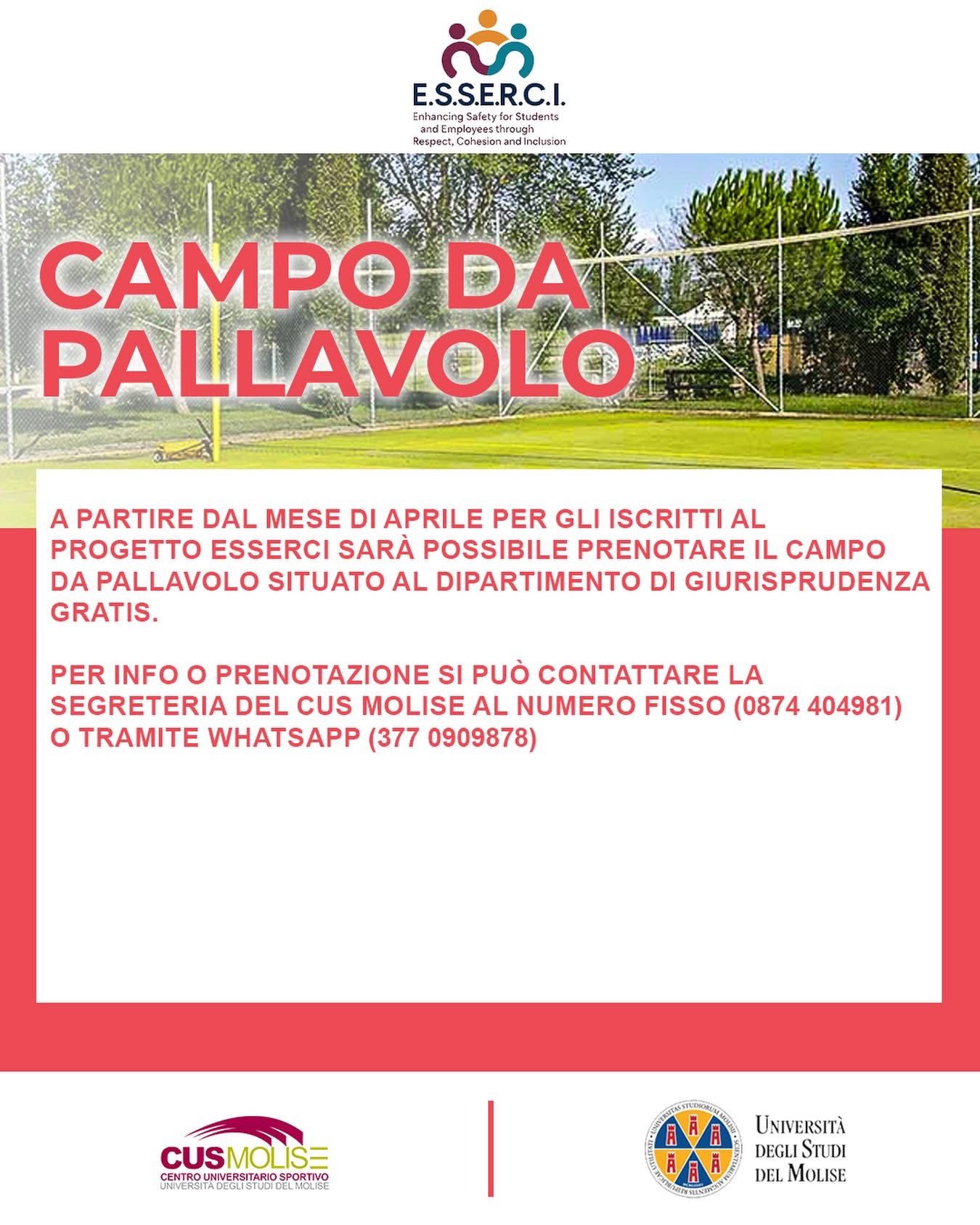 Pallavolo